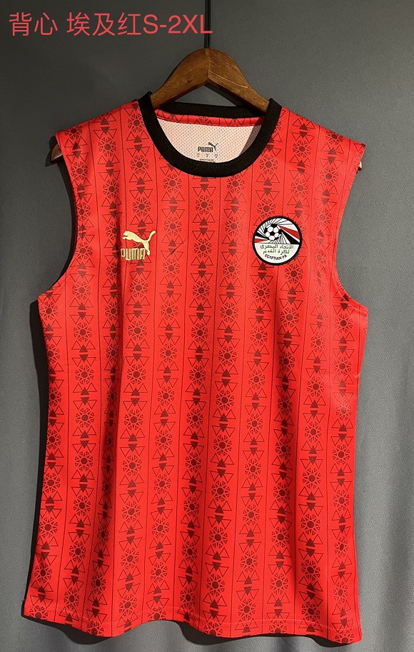AAA Quality Egypt 23/24 Red Vest Jersey